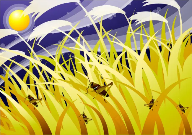 麦里的蚱蜢ai矢量模版下载