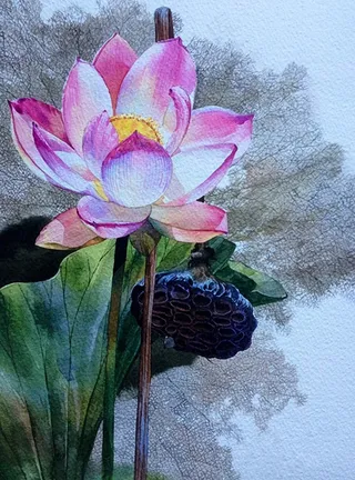 位图 写意花卉 植物 花朵 荷花 ...