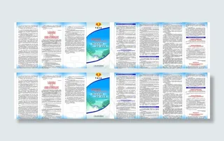 国税局三折页图片