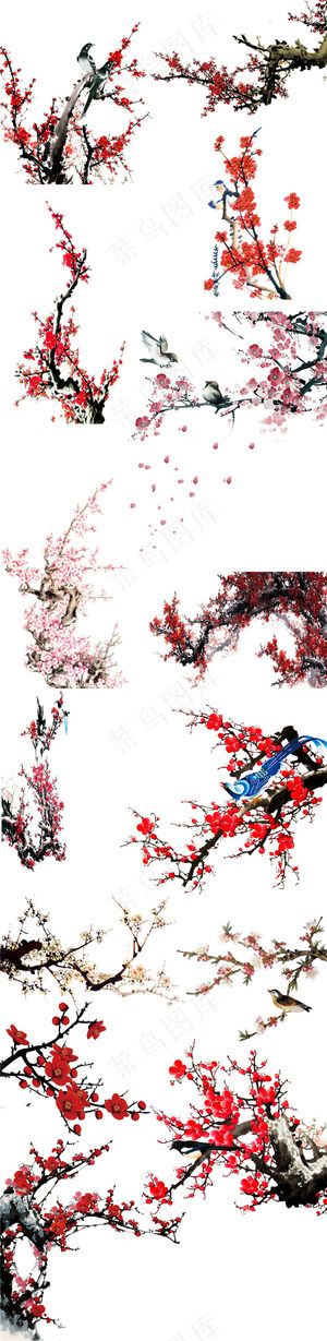 中国风水墨风梅花图片素材