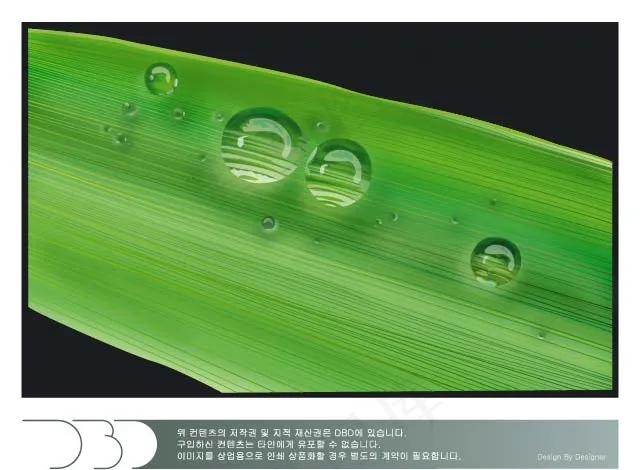 绿叶上滚动的水珠矢量素材ai矢量模版下载