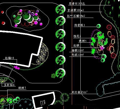 上海某公司办公区绿化苗木植物平面