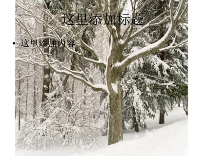森林冬季雪景 森林冬季雪景