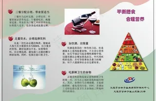 平衡膳食合理营养图片