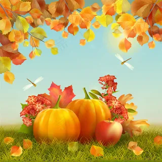 草地上的南瓜和苹果图片