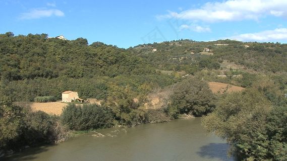 台伯河2股票的录像 视频免费下载