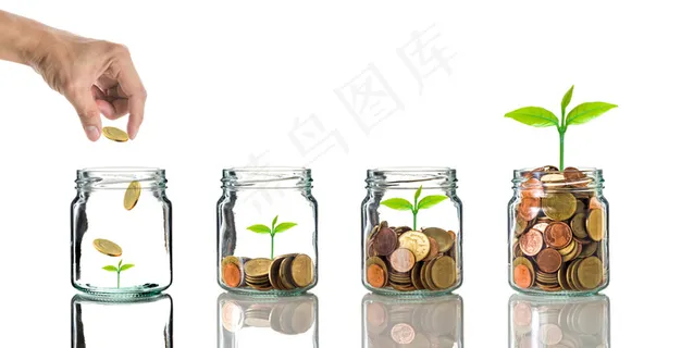 金币嫩芽小树苗孵化培育理财商务金融财富主题素材