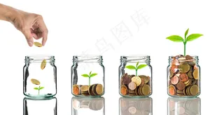 金币嫩芽小树苗孵化培育理财商务金融财富主题素材