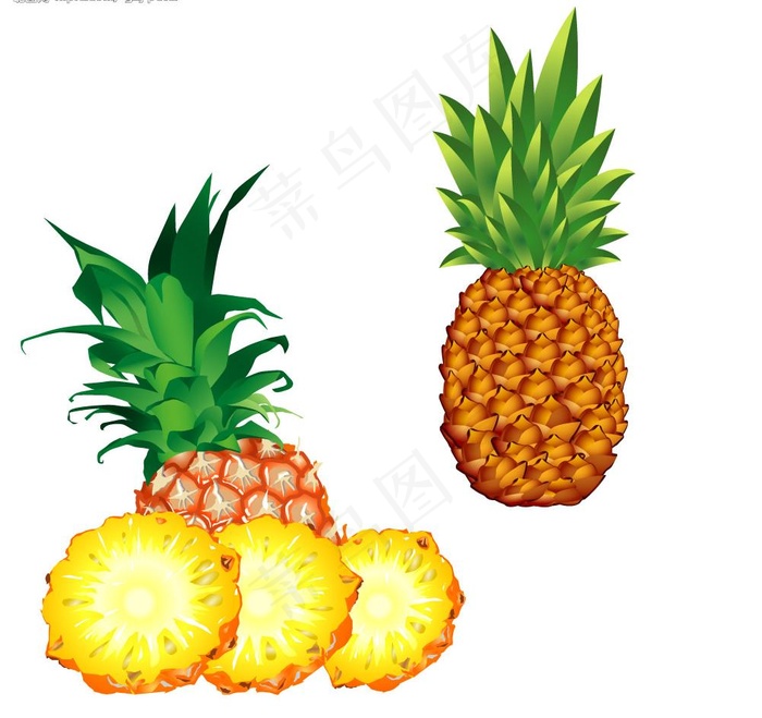 菠萝图片
