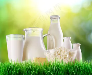 草地上的奶酪图片