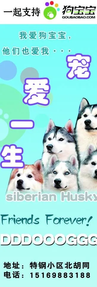 狗宝宝x展架图片(1701X4535(DPI:72))psd模版下载