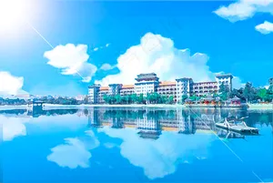 二次元风格