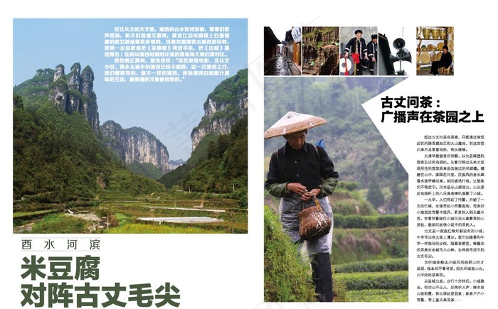 杂志设计图片ai矢量模版下载