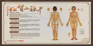 人体穴位展板