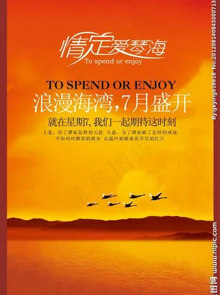 情定爱情海图片