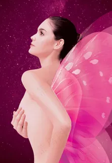 创美时 飞翔蝴蝶翅膀图片 创美时 飞翔蝴蝶翅膀图片