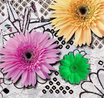 新式装饰画图片