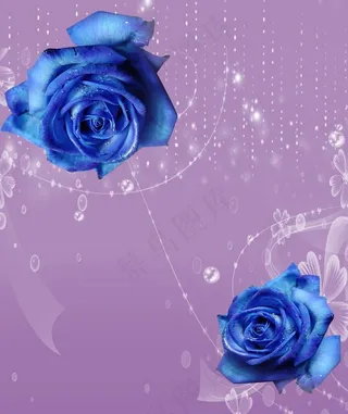 蓝玫瑰 移门图片