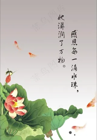 中国风水墨荷花图片