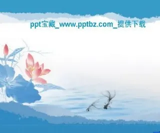 清爽荷花ppt模板