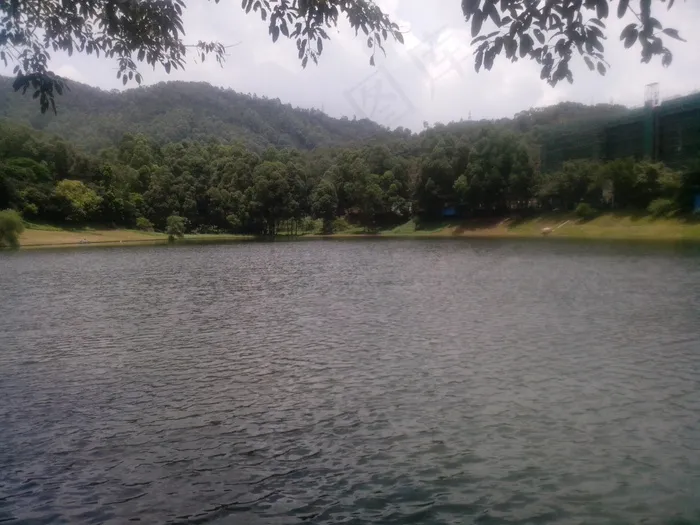 青山绿水图片