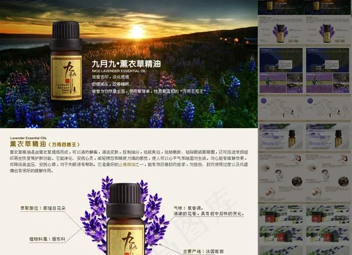 淘宝化妆品详情页模版psd模版下载