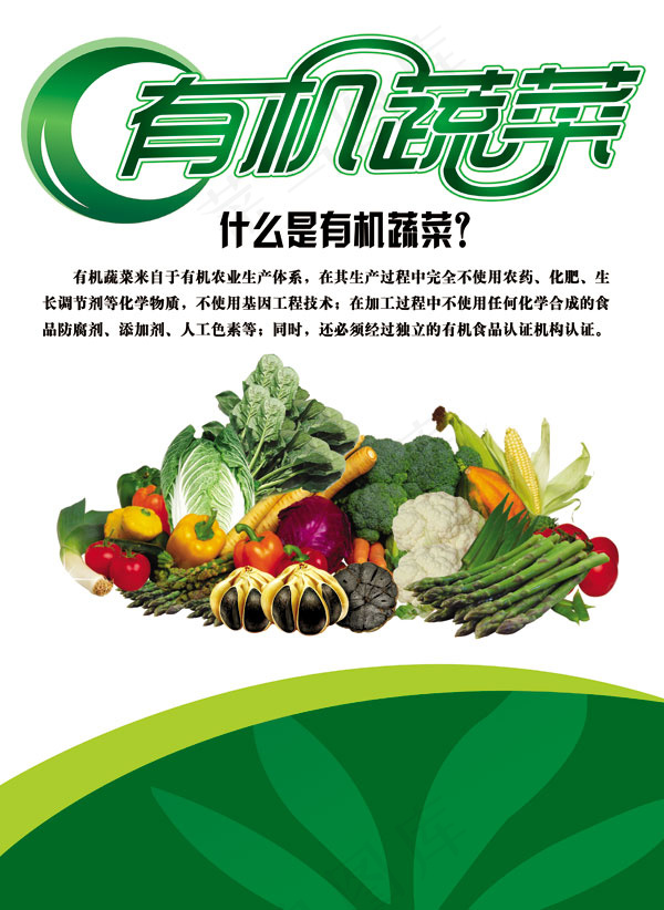 有机蔬菜海报psd模版下载