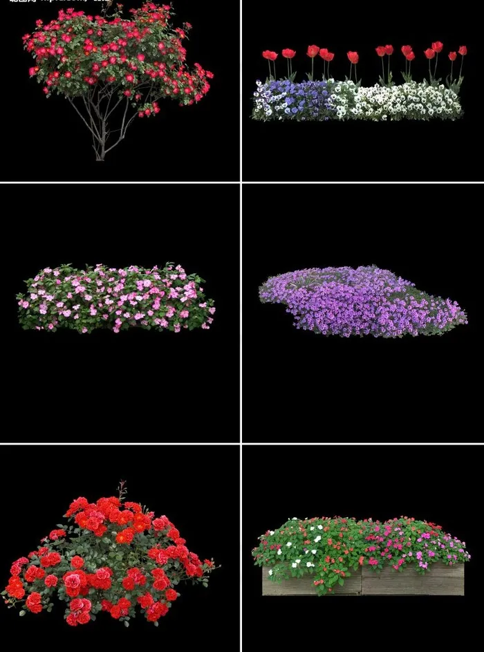 已扣好的鲜花素材图片(4961X7016(DPI:600))psd模版下载