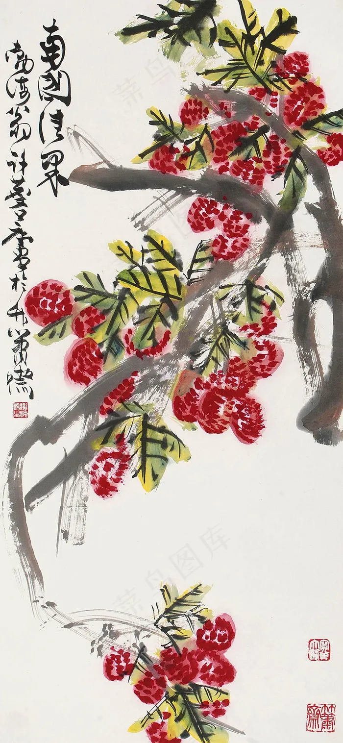 南国清果图片