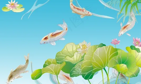 鲤鱼戏水图片