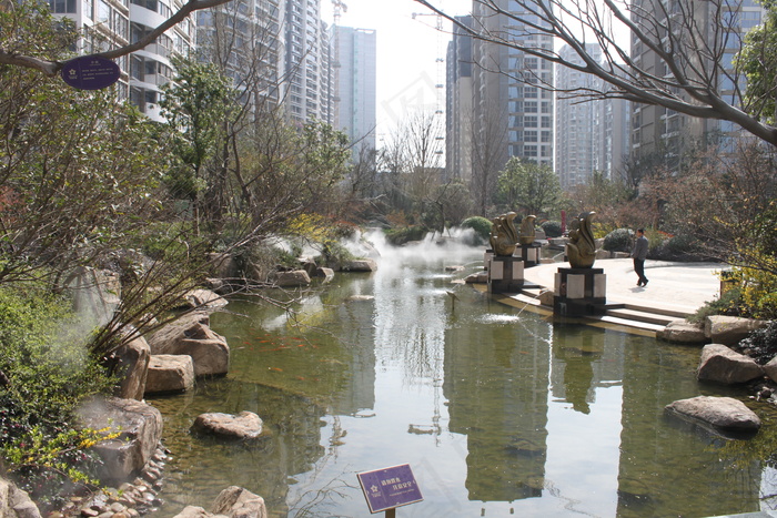 南京高档楼盘星雨华府图片