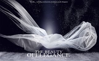 高清头纱飘纱 白纱  唯美婚纱素材 飘纱