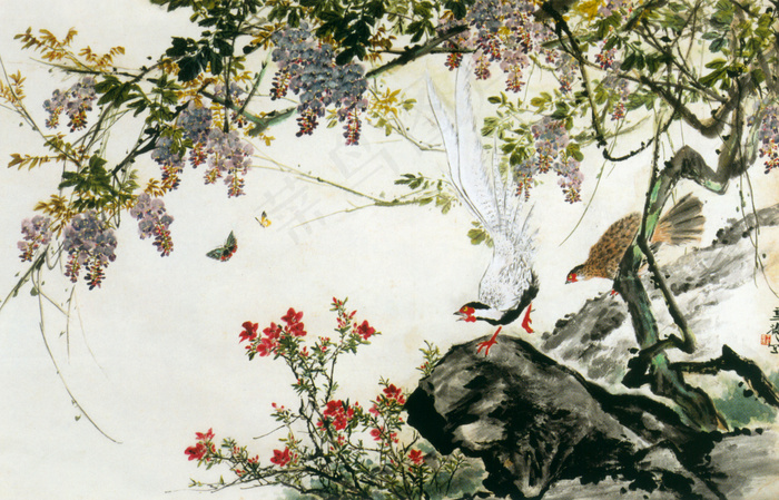 树木花卉与动物图片