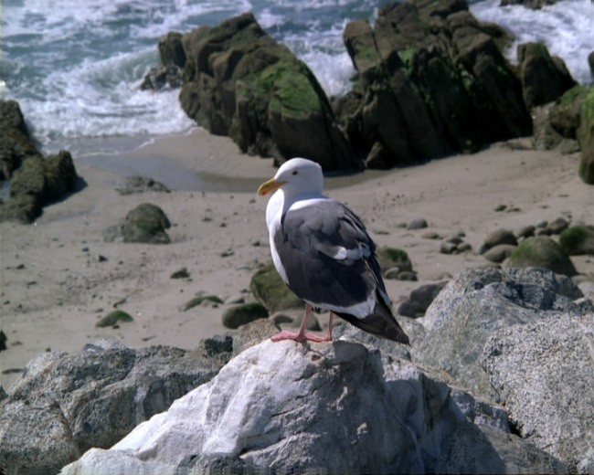 海景实拍视频素材