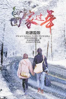 2017回家过年海报