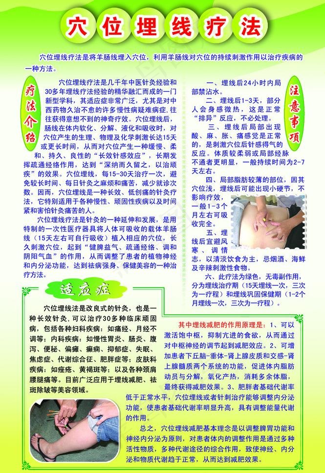 穴位埋线疗法图片psd模版下载