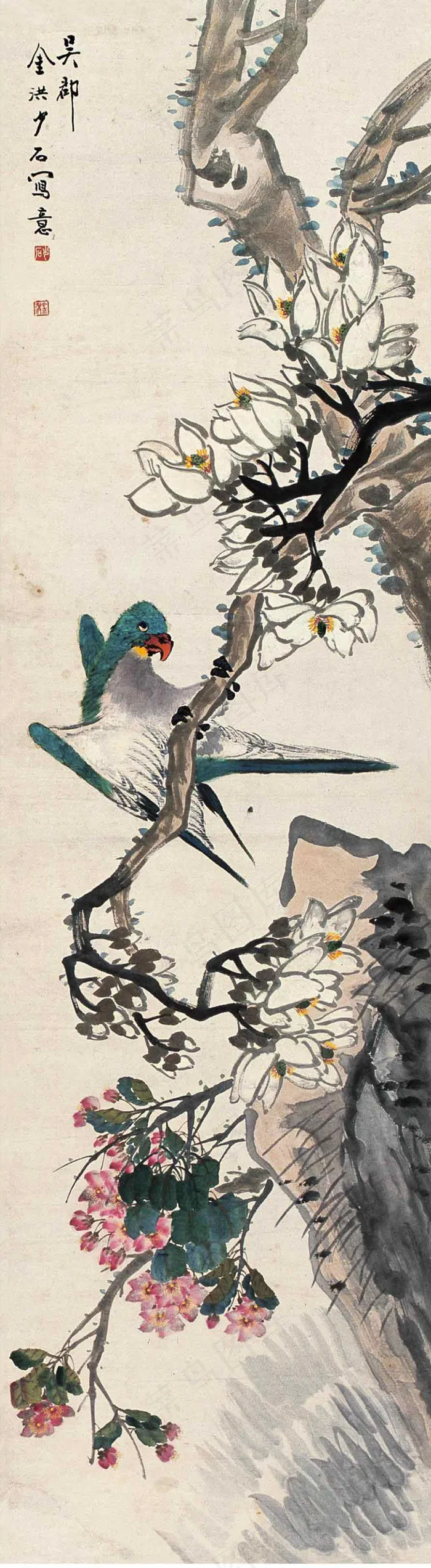 鹦鹉玉兰图片