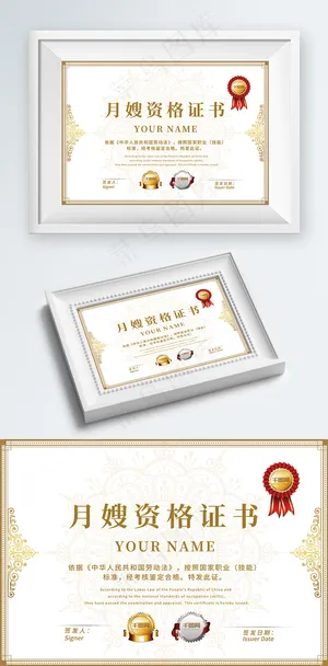 简洁时尚高档大气金色月嫂资格职业证书