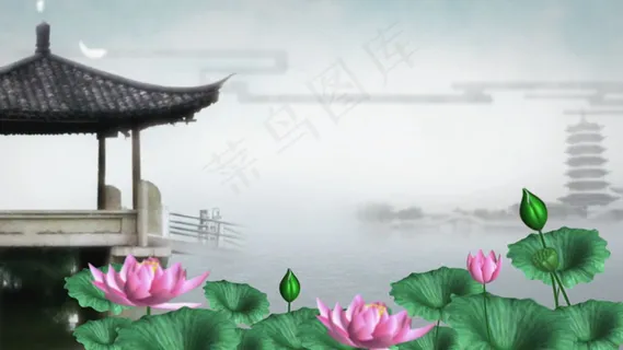 中国风水墨荷塘荷花