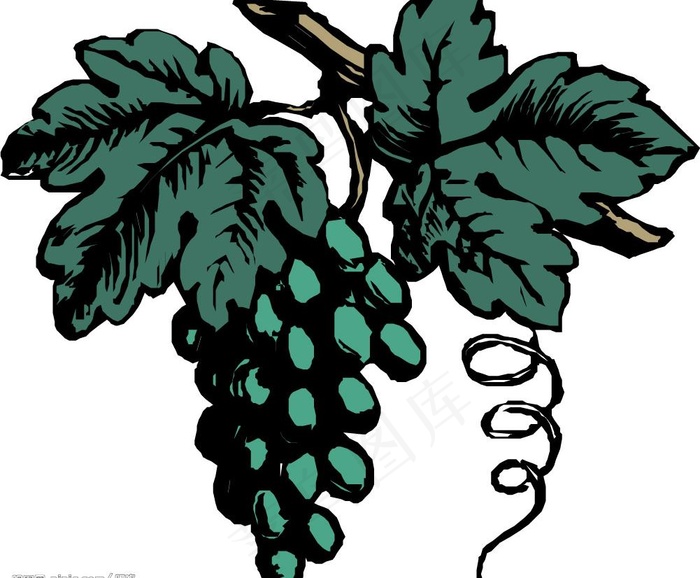 矢量葡萄图片