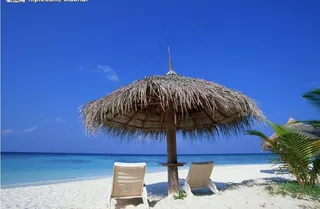 沙滩上的躺椅图片