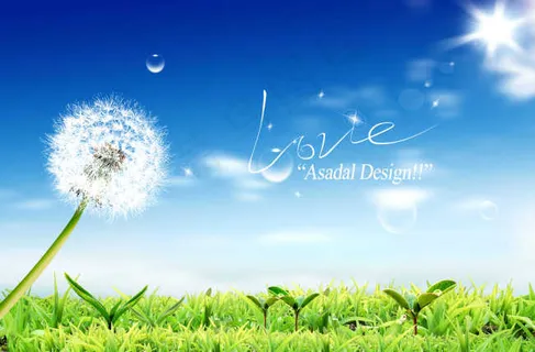 草地上的蒲公英 草地上的蒲公英