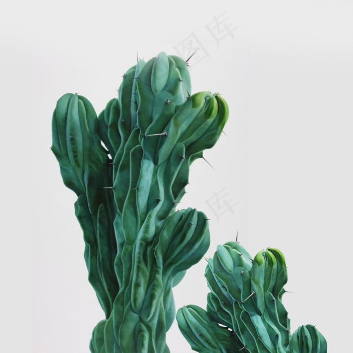 化妆品饰品植物叶子场景主图背景