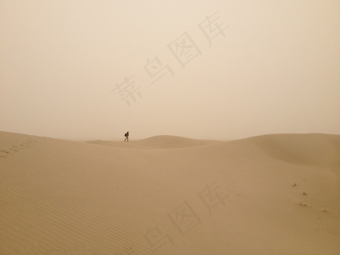 大漠独行图片