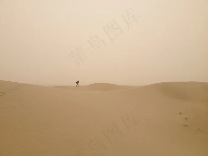 大漠独行图片