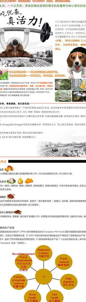 淘宝内页 品牌故事图片psd模版下载