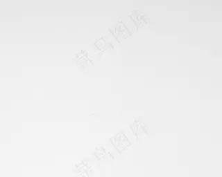 宣传单样机模板