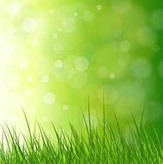 梦幻小草背景矢量素材