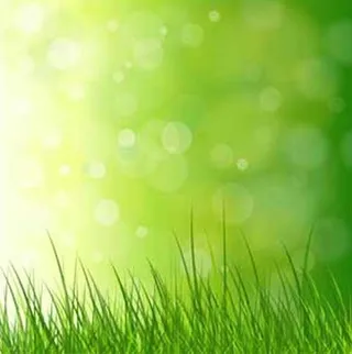 梦幻小草背景矢量素材