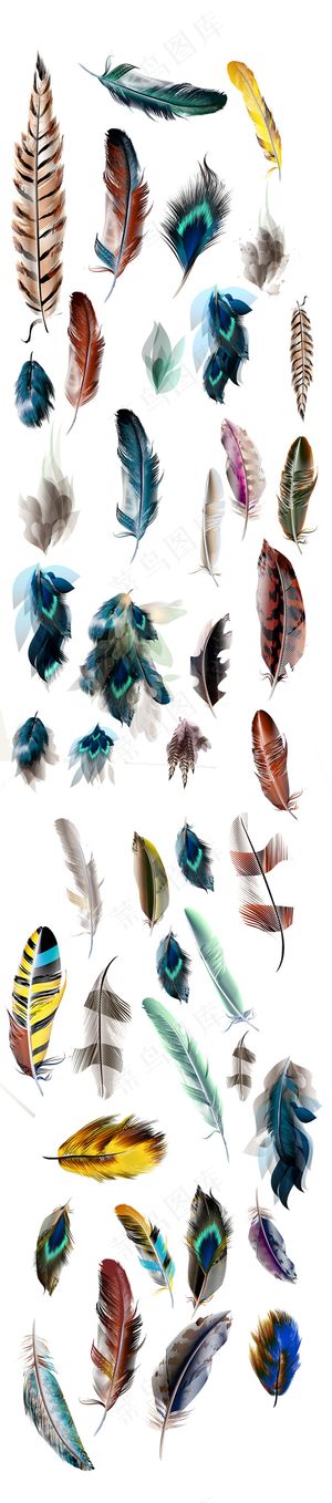 羽毛黑色孔雀飘落羽毛七彩羽毛矢量素...